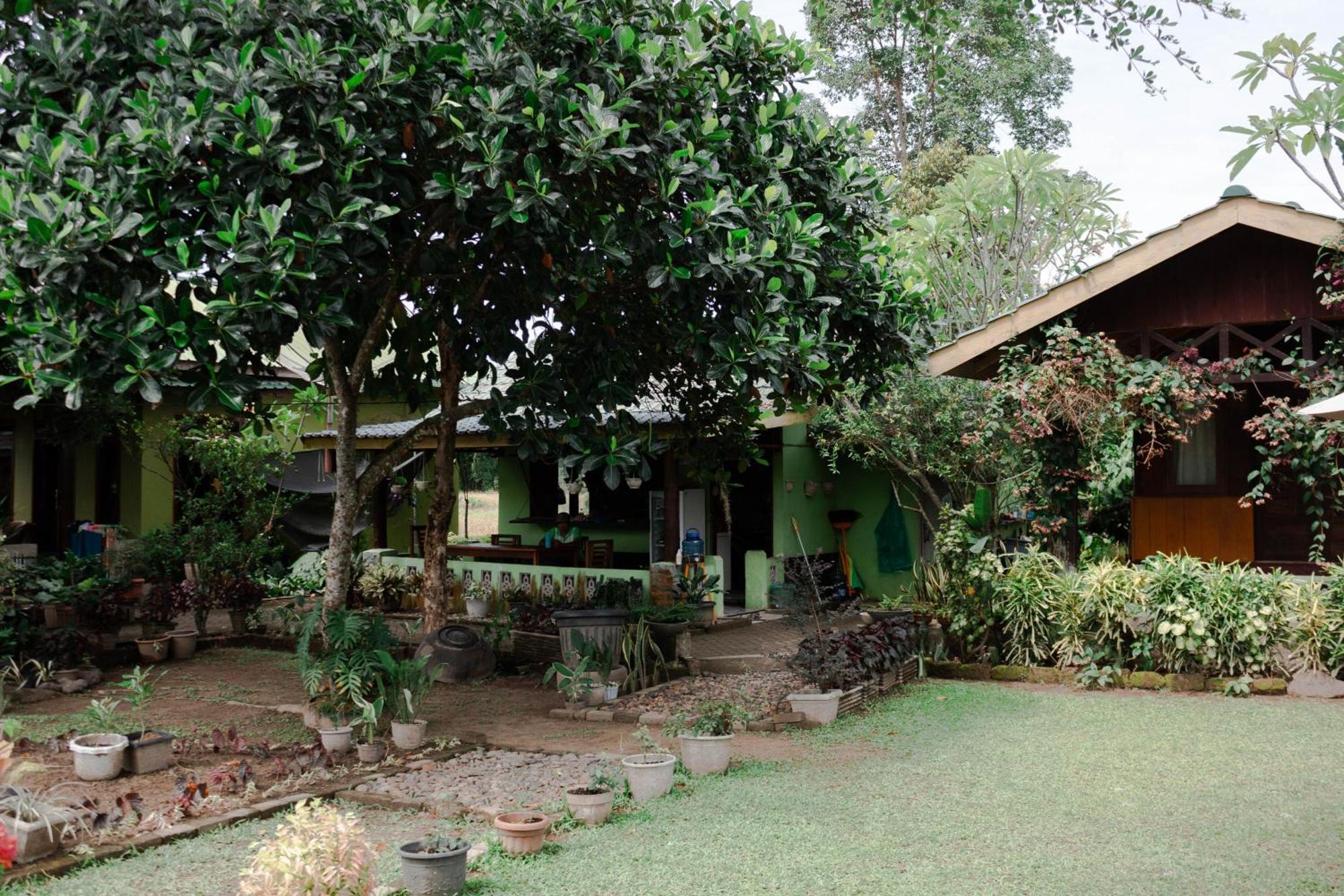 Ambow Homestay Jungle Trekking & Village Tour Букіт-Лаванґ Екстер'єр фото