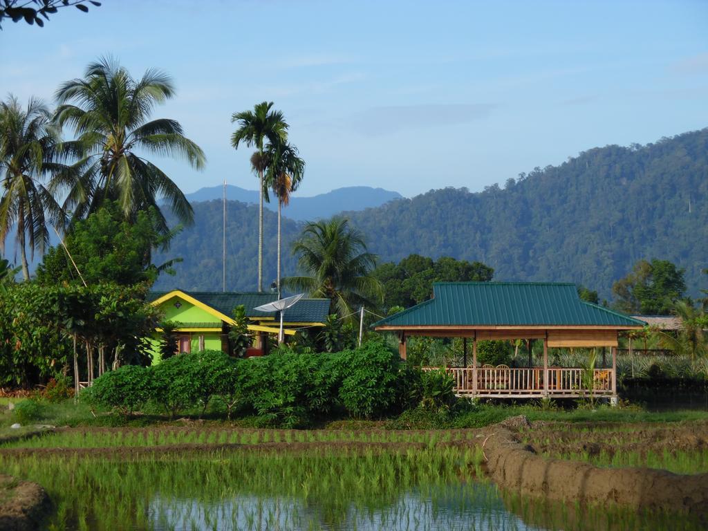 Ambow Homestay Jungle Trekking & Village Tour Букіт-Лаванґ Екстер'єр фото